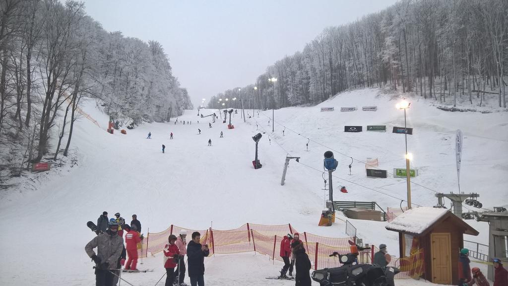 Pongracz Apartman Zirc Bagian luar foto