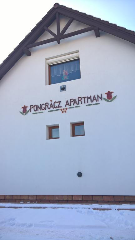 Pongracz Apartman Zirc Bagian luar foto
