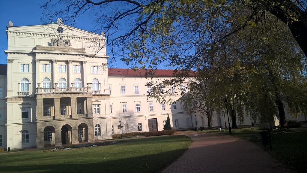 Pongracz Apartman Zirc Bagian luar foto