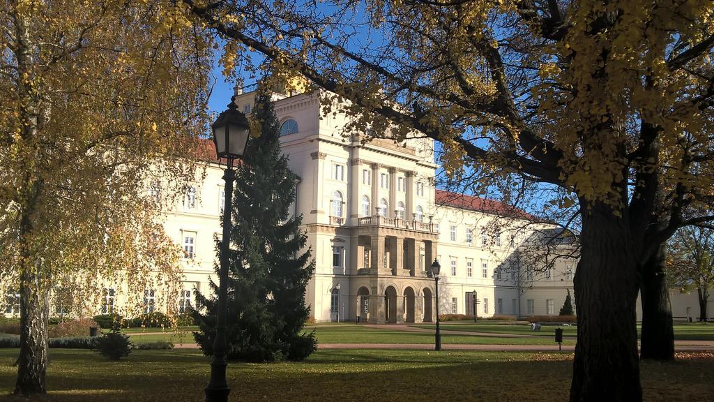 Pongracz Apartman Zirc Bagian luar foto