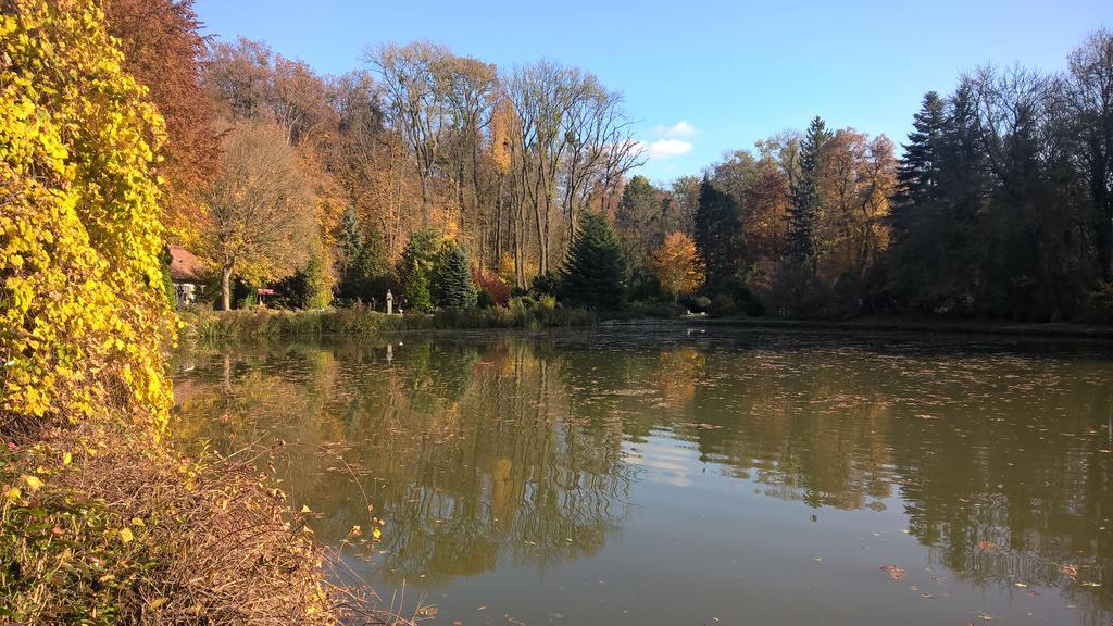 Pongracz Apartman Zirc Bagian luar foto