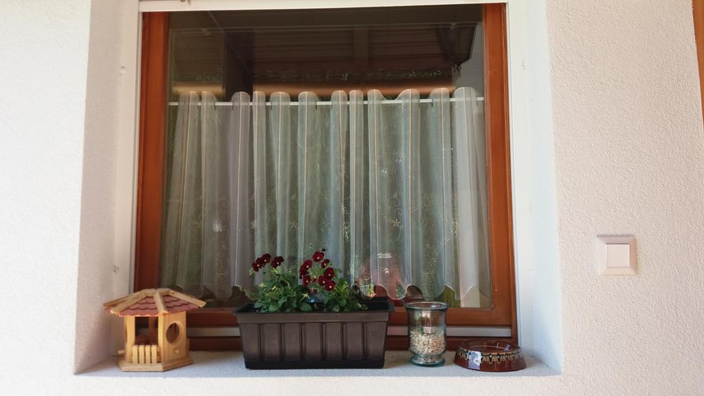 Pongracz Apartman Zirc Bagian luar foto