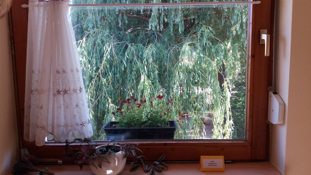 Pongracz Apartman Zirc Bagian luar foto